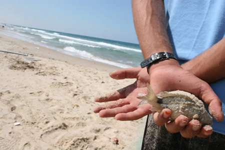 Palestinian fisherman holding small fish